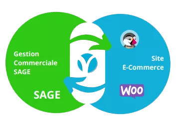 Synchronisation entre boutique en ligne et Sage 100